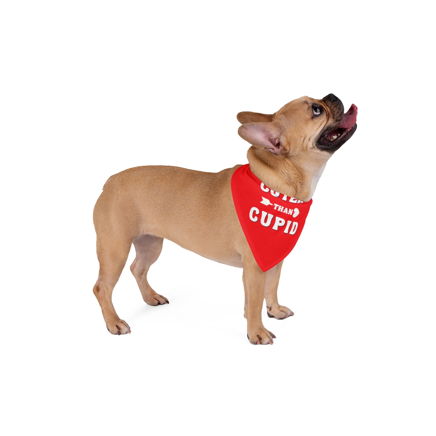 Cuter Than Cupid Valentines Day Pet Accessory - Dog Bandana