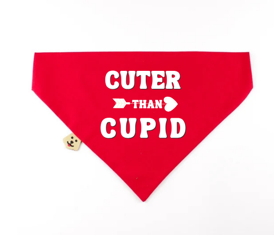 Cuter Than Cupid Valentines Day Pet Accessory - Dog Bandana