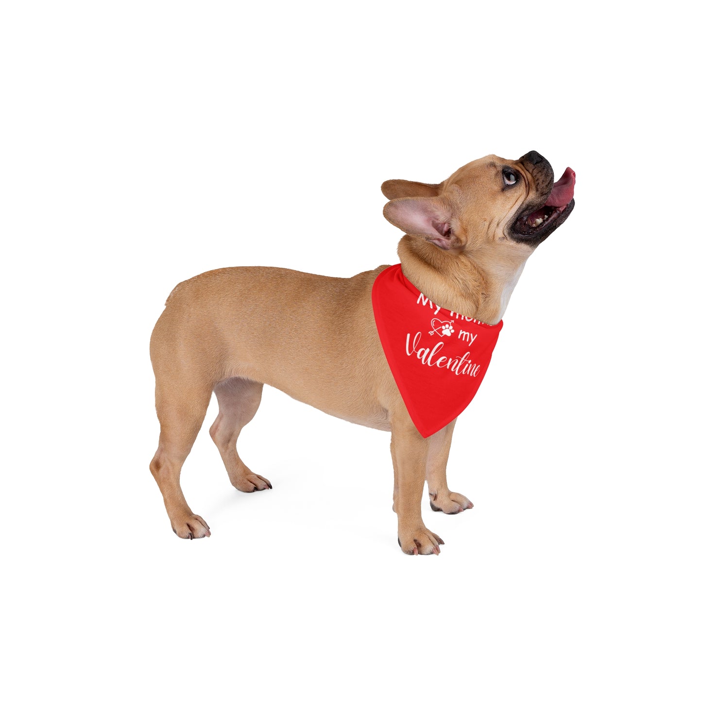 My Mom is My Valentine Pet Accessory - Dog Bandana