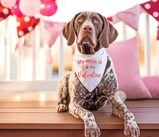 My Mom is My Valentine Pet Accessory - Dog Bandana