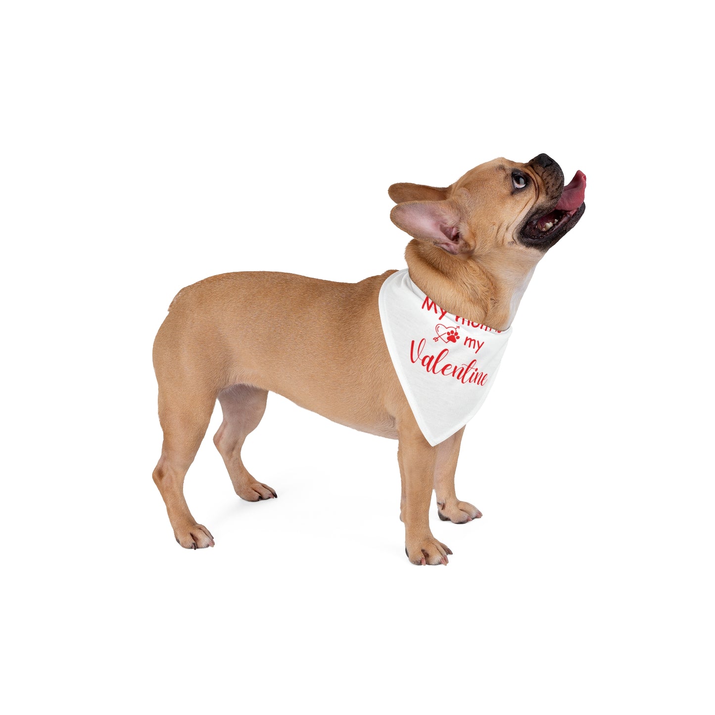 My Mom is My Valentine Pet Accessory - Dog Bandana