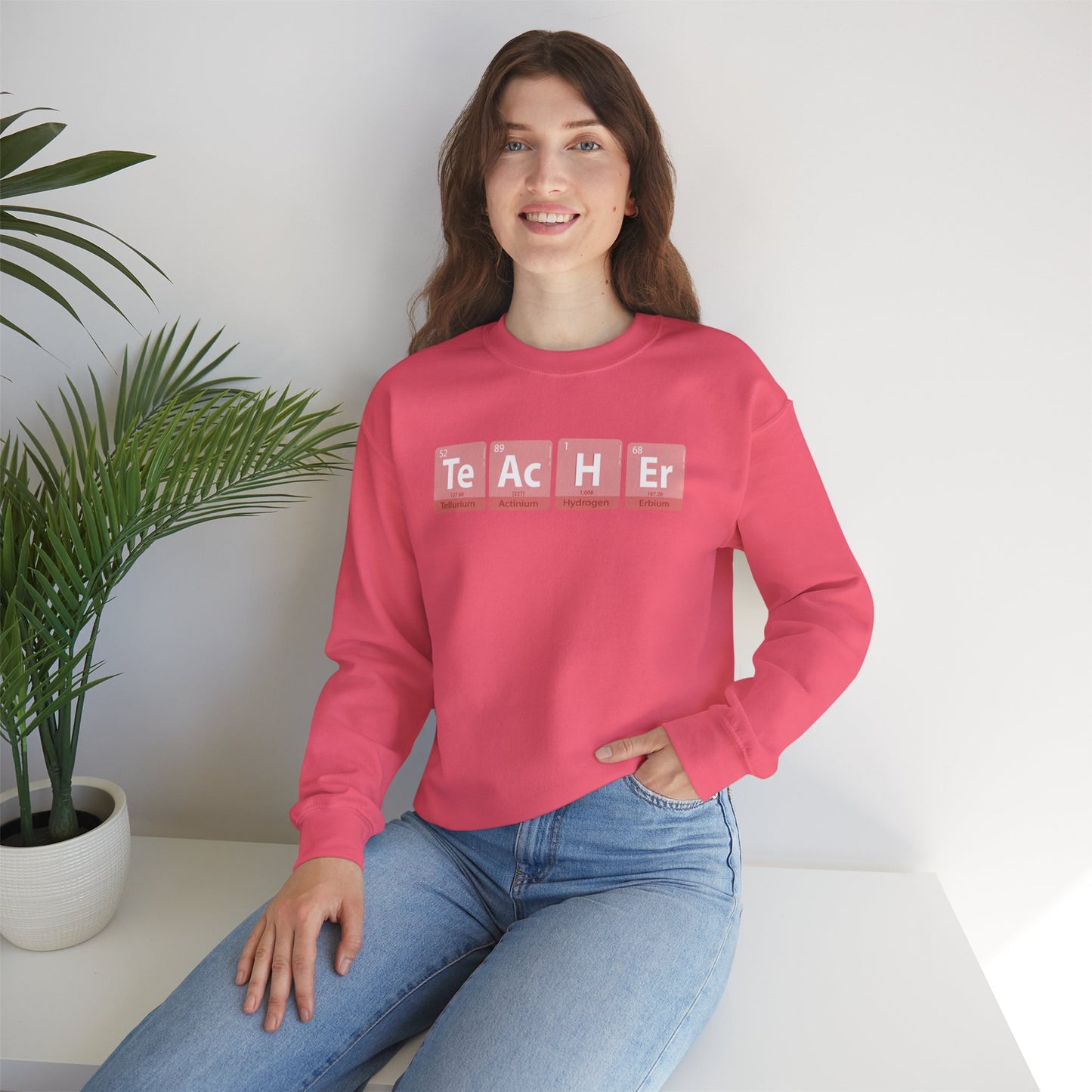 Funny Teacher Sweatshirt