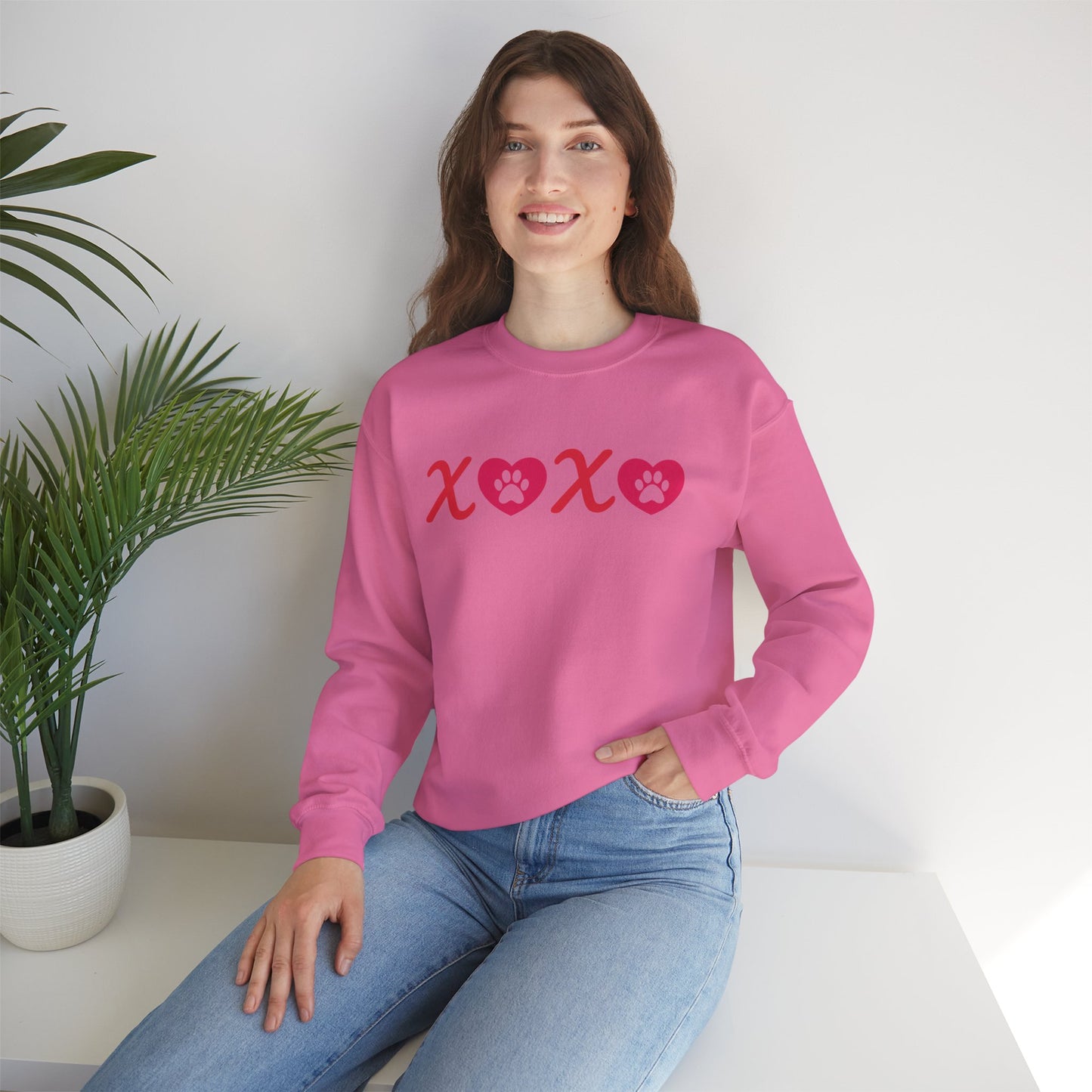 Valentine's Day Dog Lover Sweatshirt - XOXO Unisex Crewneck