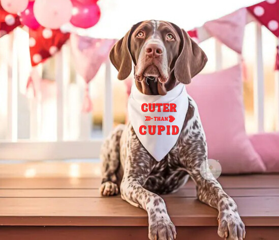 Cuter Than Cupid Valentine's Day Pet Accessory - Dog Bandana
