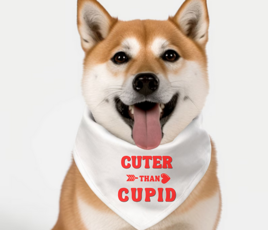 Cuter Than Cupid Valentine's Day Pet Accessory - Dog Bandana