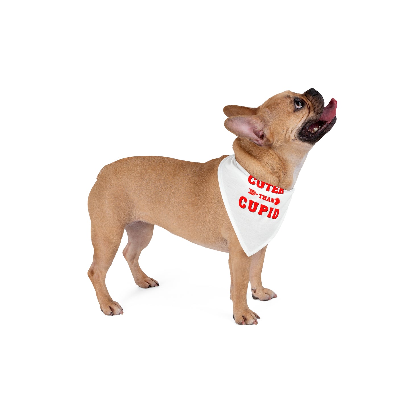 Cuter Than Cupid Valentine's Day Pet Accessory - Dog Bandana