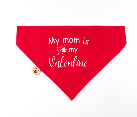 Dog and Owner Vlentines Day Bundle